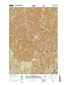 Pine Flat 2017 topographic map thumbnail