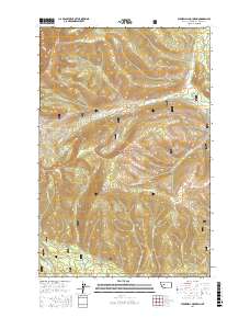 Stonewall Mountain 2017 topographic map thumbnail