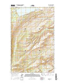 Duck Lake 2017 topographic map thumbnail