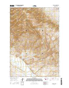 Elk Gulch 2017 topographic map thumbnail