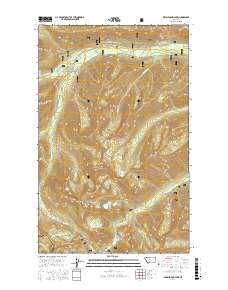 Red Meadow Lake 2017 topographic map thumbnail