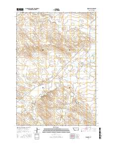 Ridgway 2017 topographic map thumbnail