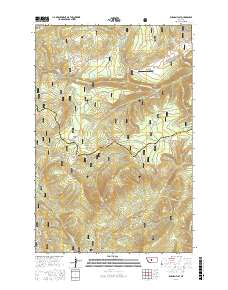Russian Flat 2017 topographic map thumbnail
