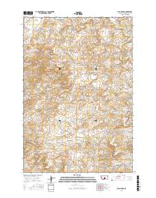 Ryan Creek 2017 topographic map thumbnail