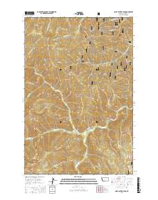 Saint Patrick Peak 2017 topographic map thumbnail