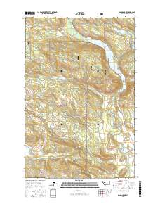 Salmon Lake 2017 topographic map thumbnail