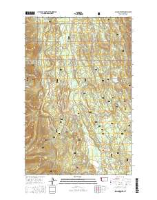Salmon Prairie 2017 topographic map thumbnail
