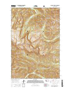 Scapegoat Mountain 2017 topographic map thumbnail