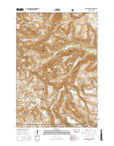 Silver Run Peak 2017 topographic map thumbnail