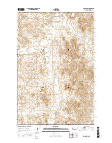 Fig Mountain 2017 topographic map thumbnail