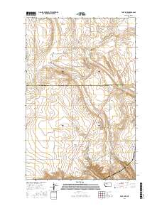 Flick Lake 2017 topographic map thumbnail