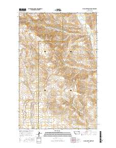 Flynn Creek North 2017 topographic map thumbnail
