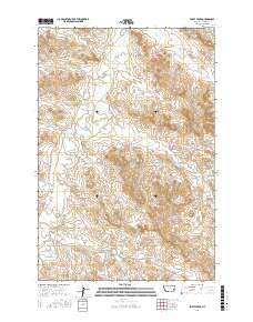 Forty Creek 2017 topographic map thumbnail