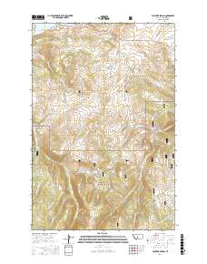 Fourmile Spring 2017 topographic map thumbnail