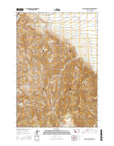 Gallagher Mountain 2017 topographic map thumbnail