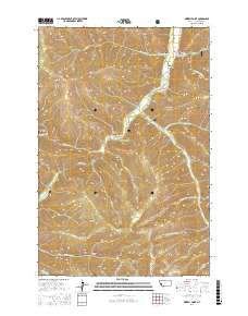 Grizzly Point 2017 topographic map thumbnail