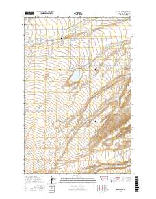 Ackley Lake 2017 topographic map thumbnail