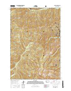 Bare Cone 2017 topographic map thumbnail