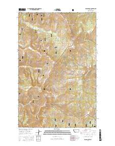 Bassoo Peak 2017 topographic map thumbnail