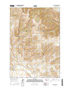 Beech Creek 2017 topographic map thumbnail