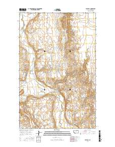 Tattnall 2017 topographic map thumbnail
