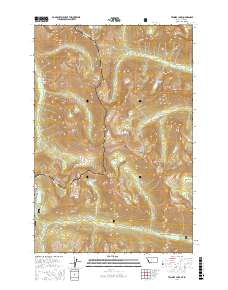 Tenmile Lake 2017 topographic map thumbnail