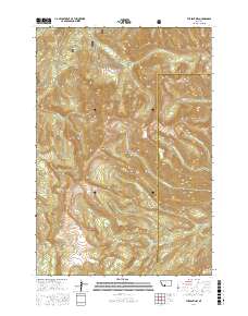 The Sentinel 2017 topographic map thumbnail