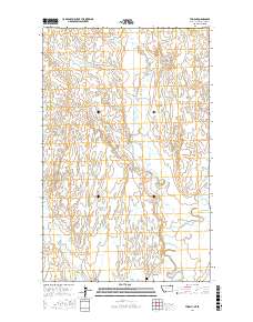 Thoeny 2017 topographic map thumbnail