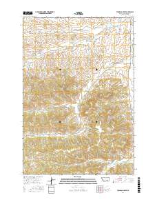 Thompson Creek 2017 topographic map thumbnail