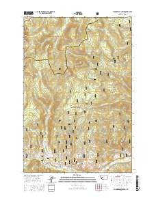Thunderbolt Creek 2017 topographic map thumbnail