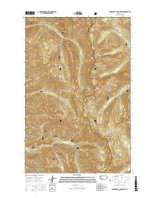 Thunderbolt Mountain 2017 topographic map thumbnail