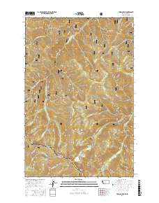 Torino Peak 2017 topographic map thumbnail