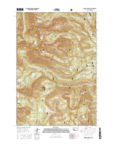 Torrey Mountain 2017 topographic map thumbnail