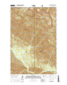 Trap Mountain 2017 topographic map thumbnail