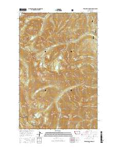 Treasure Mountain 2017 topographic map thumbnail
