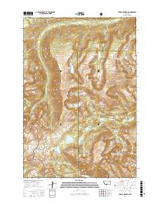 Tumble Mountain 2017 topographic map thumbnail