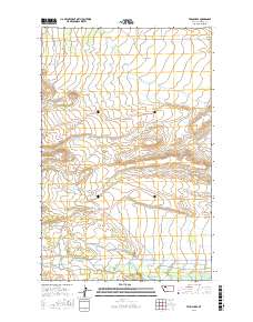Twin Lakes 2017 topographic map thumbnail