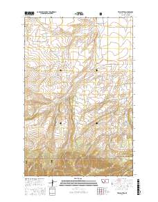 Twin Sisters 2017 topographic map thumbnail
