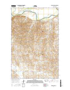 Twomile Creek 2017 topographic map thumbnail