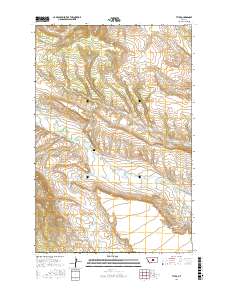 Tyler 2017 topographic map thumbnail