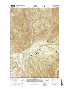 Virginia Peak 2017 topographic map thumbnail