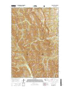 Walling Reef 2017 topographic map thumbnail