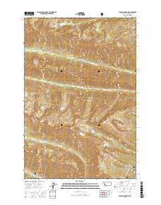 Ward Mountain 2017 topographic map thumbnail