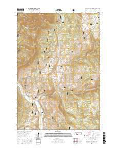 Warm Springs Creek 2017 topographic map thumbnail