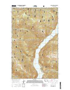 Webb Mountain 2017 topographic map thumbnail