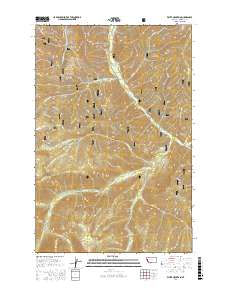 White Mountain 2017 topographic map thumbnail