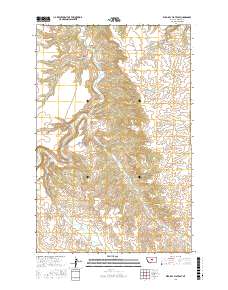 Wild Bill Flat East 2017 topographic map thumbnail