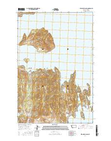 Wild Horse Island 2017 topographic map thumbnail