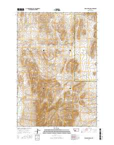 Willow Springs 2017 topographic map thumbnail