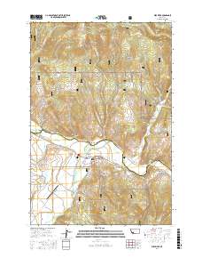 Wise River 2017 topographic map thumbnail